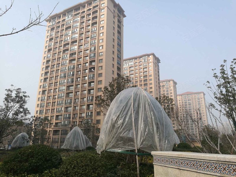 紫金公馆,巨龙南路-连云港紫金公馆二手房,租房,房价-连云港安居客