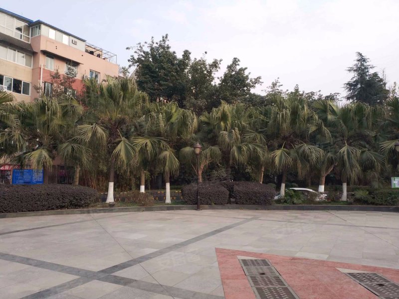 大庆蜀苑,春江南路98号-成都大庆蜀苑二手房,租房,房价-成都安居客