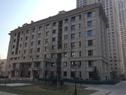 实房旺海公府精装一室采光充足近海河随时看房