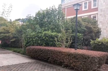 御翠园