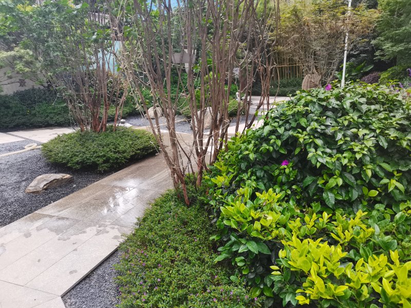 御景花园,鹿城东路-楚雄御景花园二手房,租房,房价-楚雄安居客