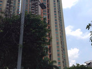 新洲小区图片