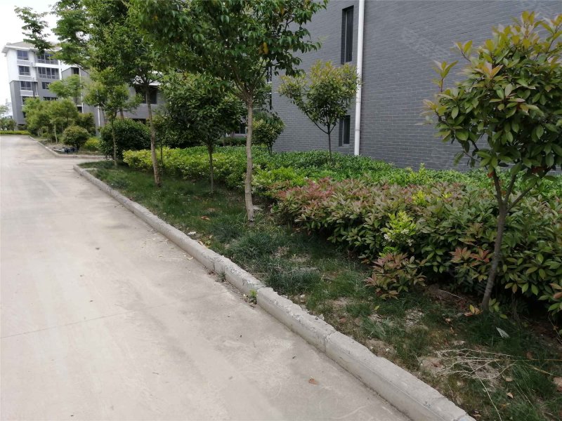 芦沟新苑,戚黄路-宿迁芦沟新苑二手房,租房,房价-宿迁安居客