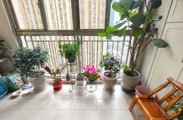 香榭丽花园2室2厅90㎡61.8万二手房图片