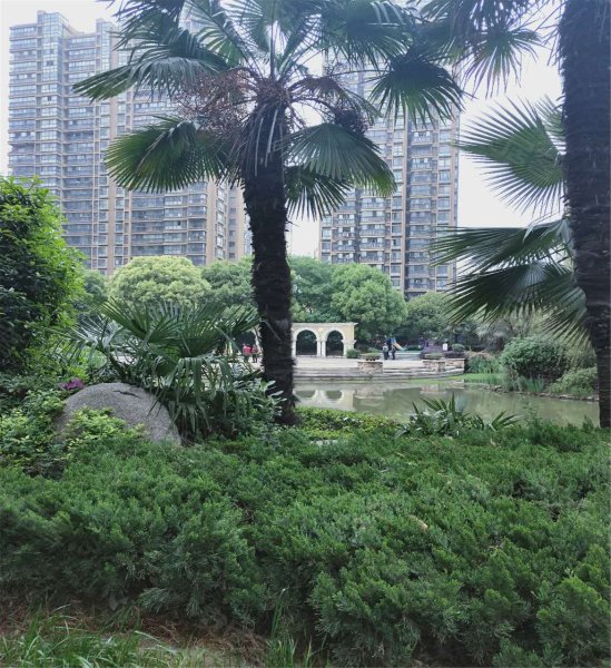 九洲花园缇香郡