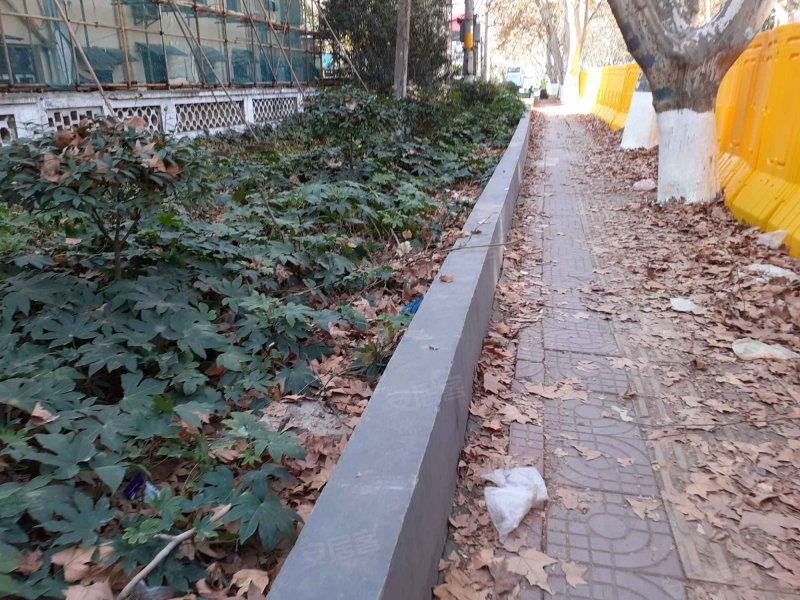 新马路161号小区,新马路161号-南京新马路161号小区二手房,租房,房价