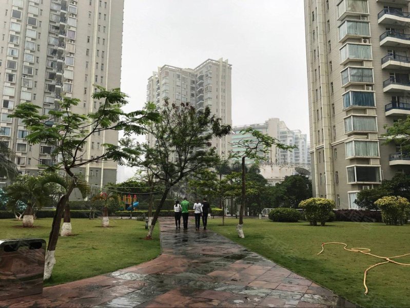 紫荆花园(一区),紫荆路11号-海口紫荆花园(一区)二手房,租房,房价