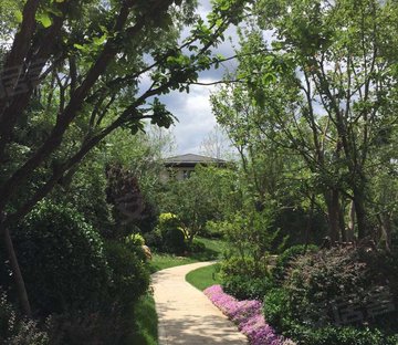 亦庄开发区  金茂逸墅  南北两居室  随时看房