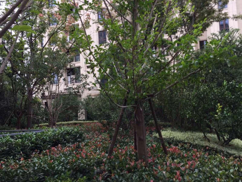 仁恒森兰雅苑(一期别墅) 