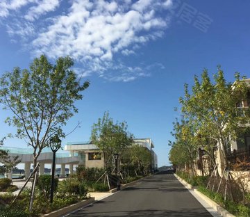 金海悦庭(别墅)