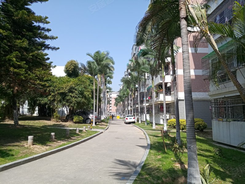 前埔南区文兴东一里,文兴东一里1-26号-厦门前埔南区文兴东一里二手房