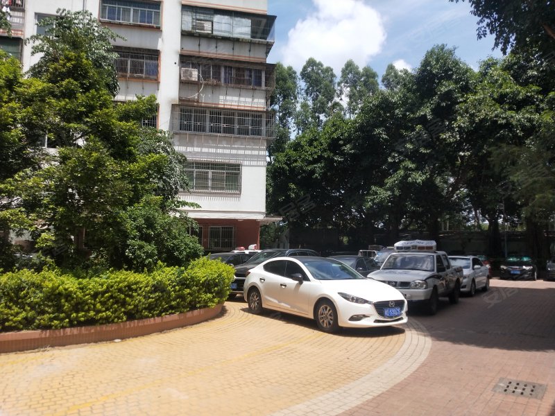 金碧花园,嵩山北路28号-汕头金碧花园二手房,租房,房价-汕头安居客