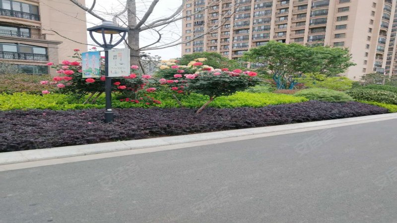 紫金公馆,巨龙南路-连云港紫金公馆二手房,租房,房价-连云港安居客