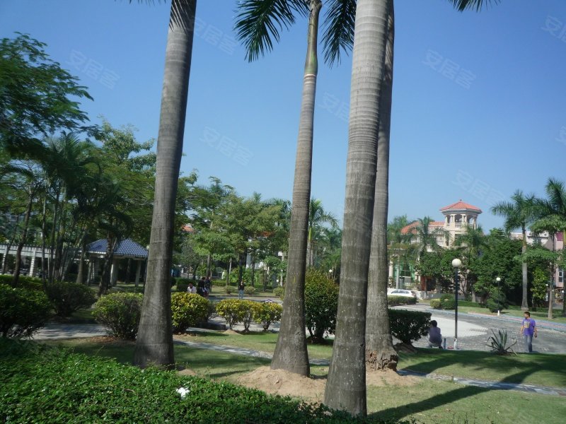 梅花山庄(别墅),民治大道-深圳梅花山庄(别墅)二手房,租房,房价-深圳