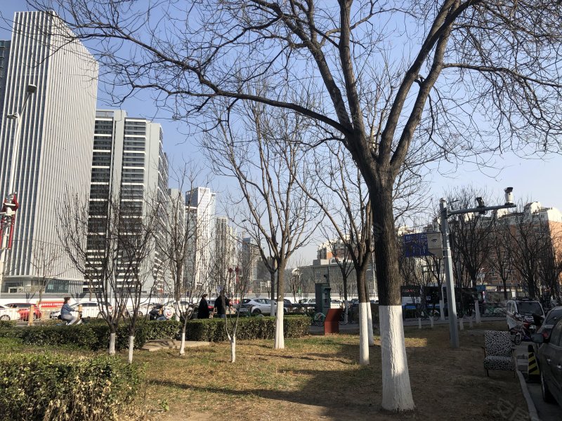 新华东街30号楼