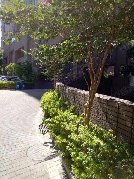 锦龙花园,爱华路21号-深圳锦龙花园二手房,租房,房价-深圳安居客