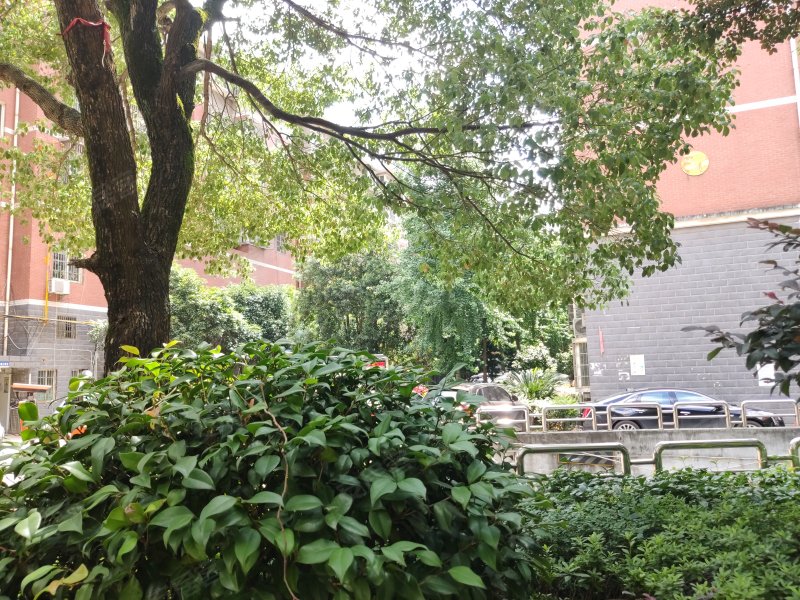 东城名苑,漓湘东路63号-长沙东城名苑二手房,租房,房价-长沙安居客