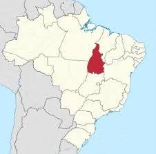 巴西约¥27561万巴西牛屠宰场出售二手房其他图片