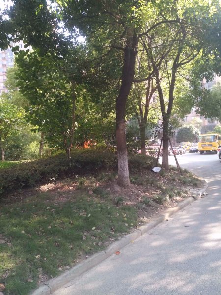 天禧嘉苑(东区) 