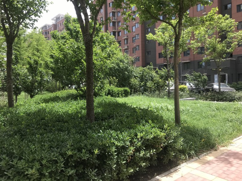 丽景苑 北京图片