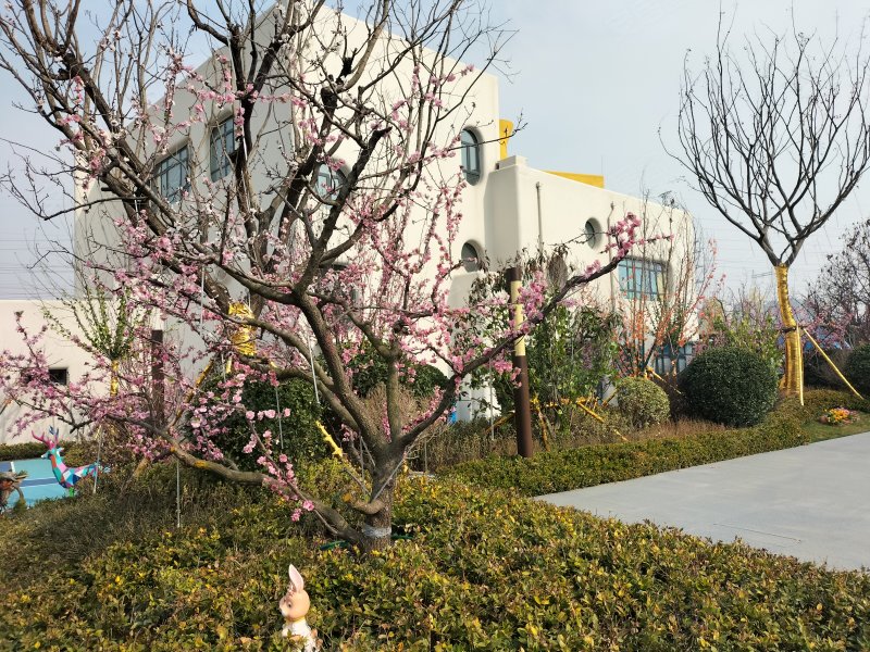 天一仁和宸璟锦里