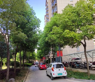 河滨路33号小区