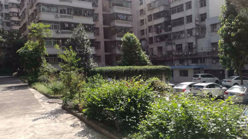 龙湖小区,东湖中路29号-惠州龙湖小区二手房,租房,房价-惠州安居客