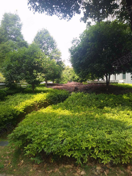 鑫天山水洲城,友谊路159号-长沙鑫天山水洲城二手房,租房,房价-长沙