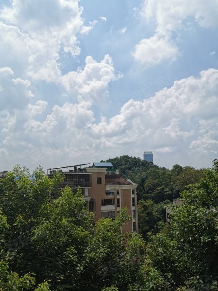 黔灵半山,市北路123号-贵阳黔灵半山二手房,租房,房价-贵阳安居客