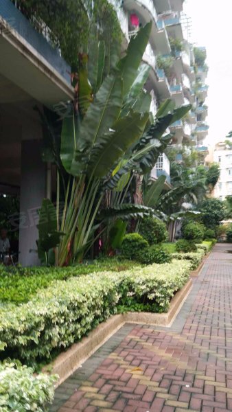 蓝月湾畔,海月路172号-深圳蓝月湾畔二手房,租房,房价-深圳安居客