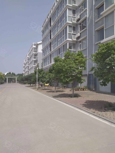 沂河花园(沂南),朝阳路,近澳柯玛路 - 临沂沂河花园(沂南)二手房,租房