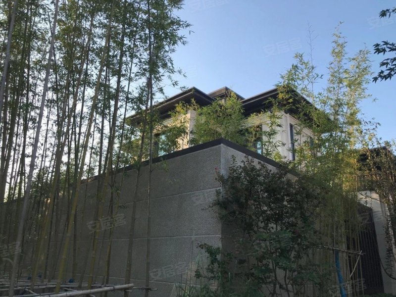 中建国望府(别墅)