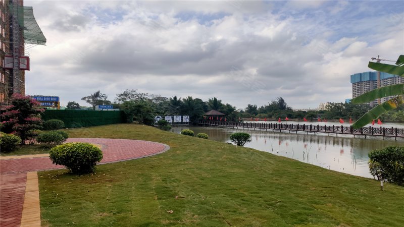 金岛国际(二期),龙昆南路,近梧桐路-海口金岛国际(二期)二手房,租房