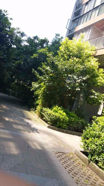 绿洲华府,石坪桥正街125号-重庆绿洲华府二手房,租房,房价-重庆安居客