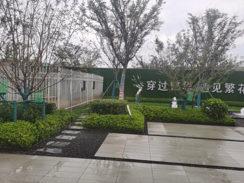 中南威高林清月