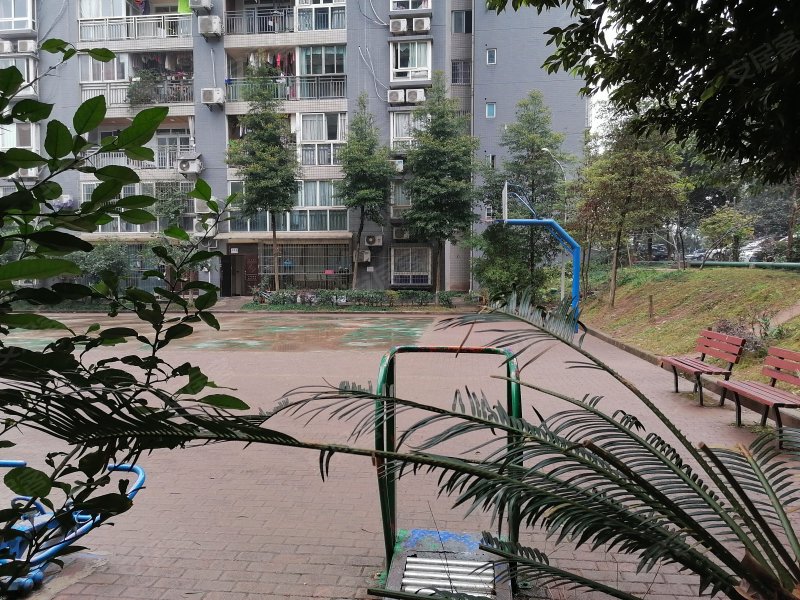 曦圆江南华都,龙洲大道2号-重庆曦圆江南华都二手房,租房,房价-重庆