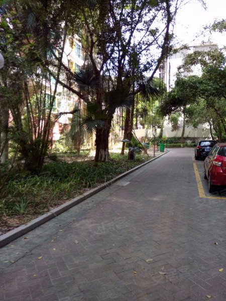 南厦丰泽园(南区),夏美路161号-珠海南厦丰泽园(南区)二手房,租房