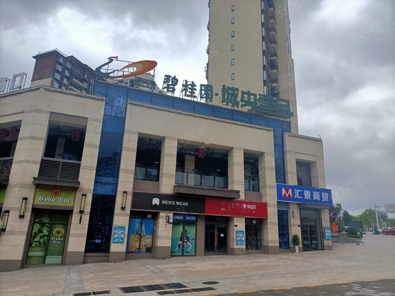 碧桂园城央壹品