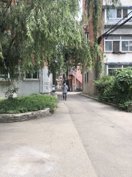 大万莲社区先农坛路17巷西