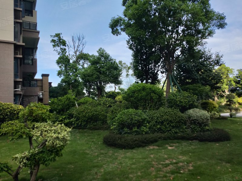 碧桂园水蓝湾,玉津中路-汕头碧桂园水蓝湾二手房,租房,房价-汕头安居