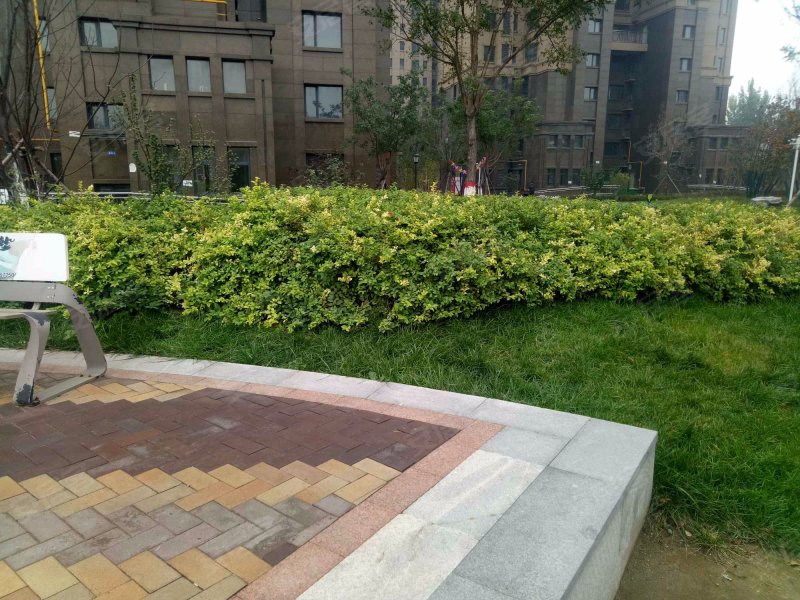 未来城(a区),七一东路1288号-保定未来城(a区)二手房,租房,房价-保定