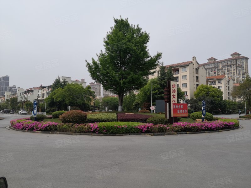 碧桂园山水云间小区(别墅),皖江大道1188号-安庆碧桂园山水云间小区