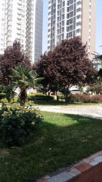 香榭丽苑,工人路318号-郑州香榭丽苑二手房,租房,房价-郑州安居客