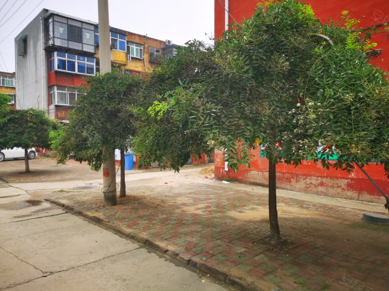 古冶区林西十八号院小区