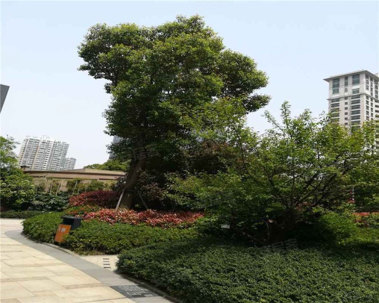 路劲天御,中南西路369号-无锡路劲天御二手房,租房,房价-无锡安居客