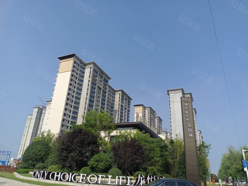 建业碧桂园龙悦城,人民路-南阳建业碧桂园龙悦城二手房,租房,房价