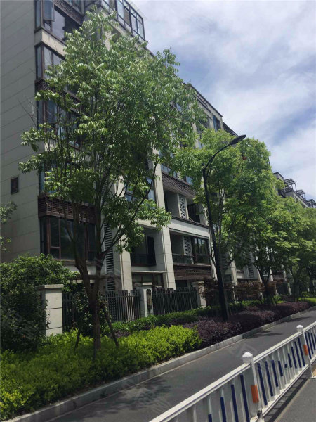 大华西溪风情(公寓住宅),文一西路833号-杭州大华西溪风情(公寓住宅)