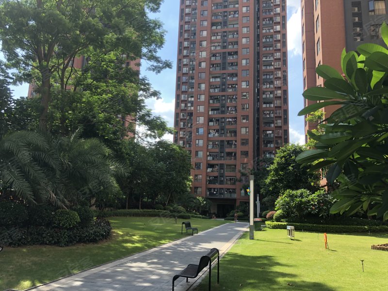 万科金悦香树,宏图路-泉州万科金悦香树二手房,租房,房价-泉州安居客