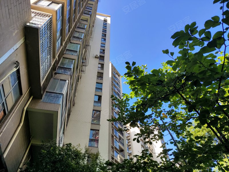 东城国际,福宁北路2号-宁德东城国际二手房,租房,房价-宁德安居客