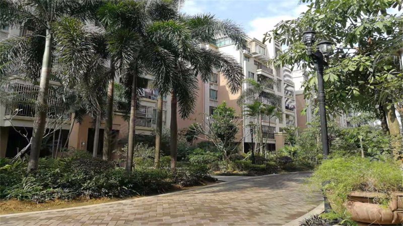 星洲花园,乐怡路1号-中山星洲花园二手房,租房,房价-中山安居客